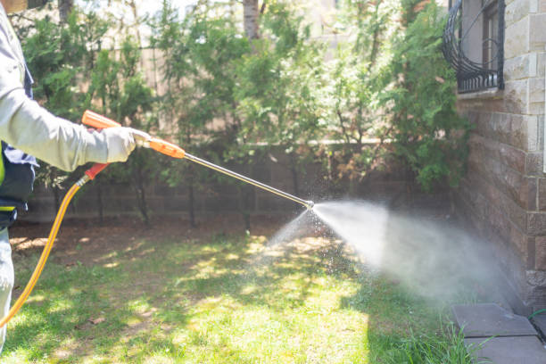 Best Spider Control Near Me  in Flagtown, NJ